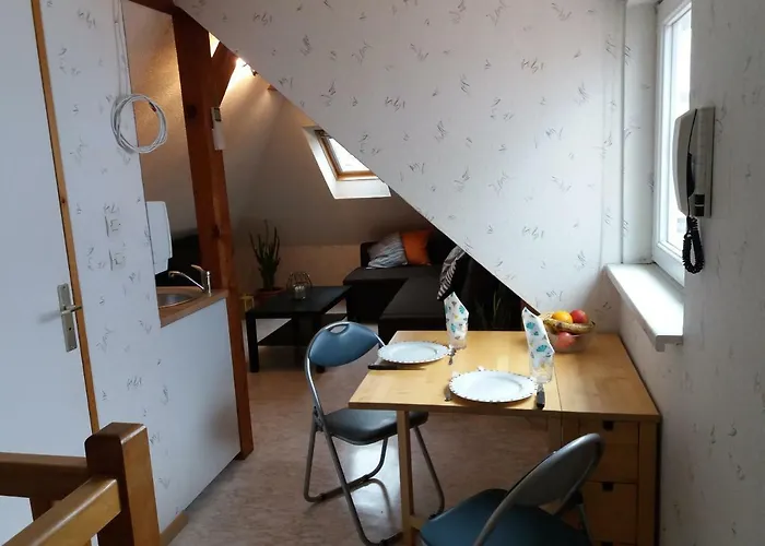 Logis 18 Rose שטרסבורג