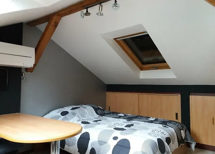 Logis 18 Rose דירה שטרסבורג