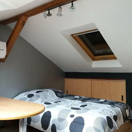 Logis 18 Rose Lägenhet Strasbourg